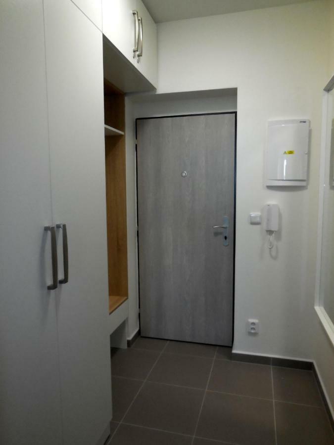 Apartment Potter برنو المظهر الخارجي الصورة