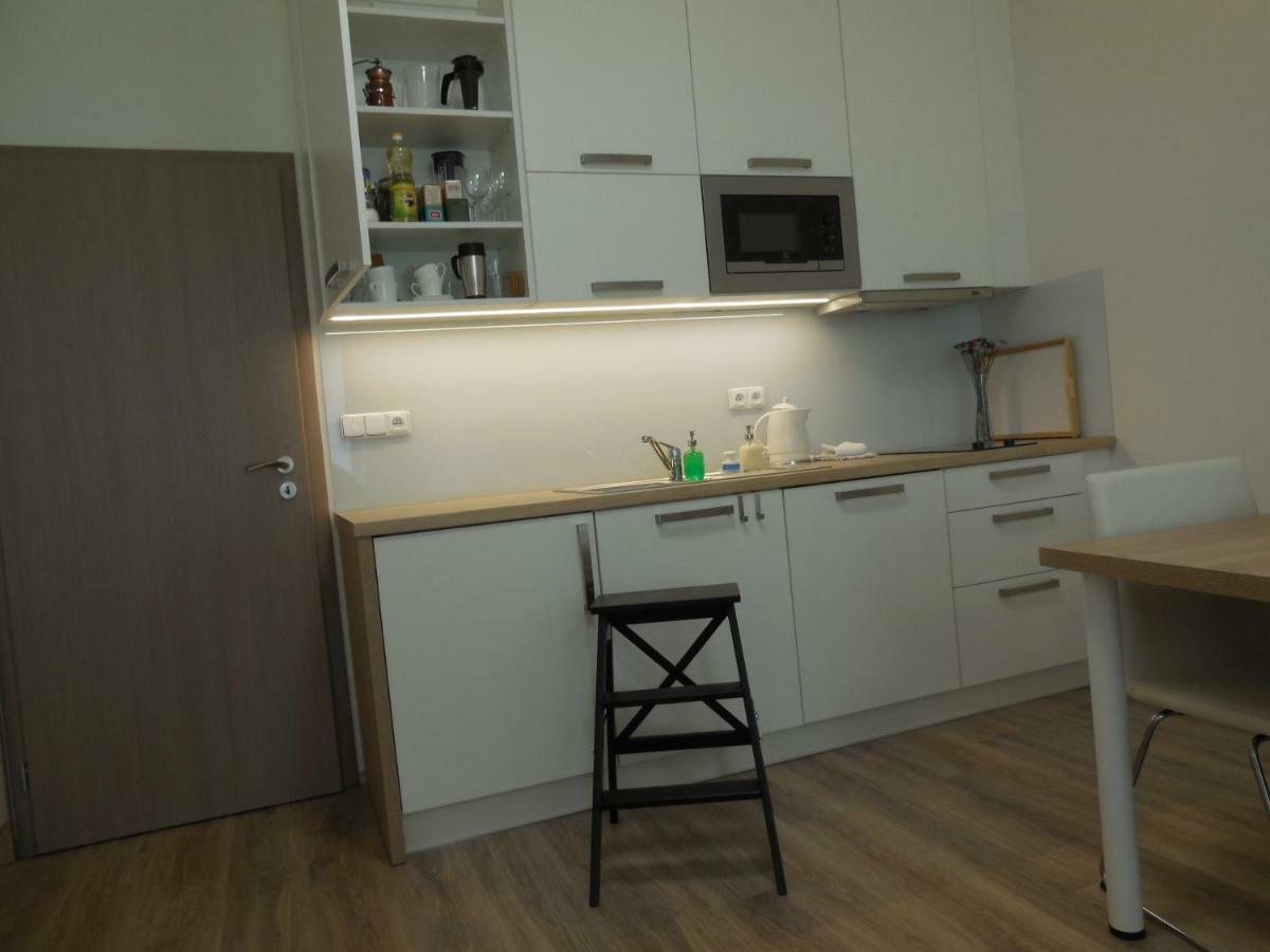 Apartment Potter برنو المظهر الخارجي الصورة